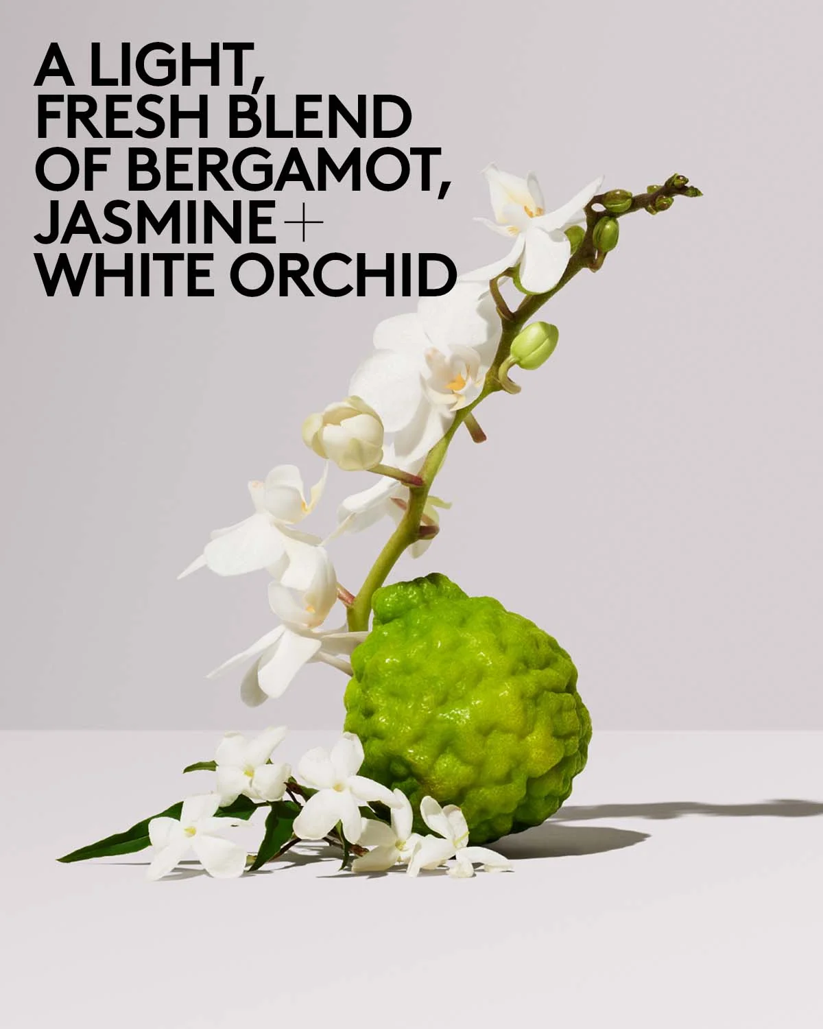 Butta Drop Whipped Oil Body Cream with Tropical Oils + Shea Butter — Fenty Fresh - Image 7